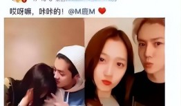 女网红疑曝与鹿晗聊天记录两人对视频画面曝光