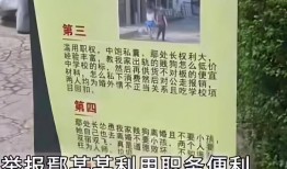 露骨聊天记录曝光！高校门口摆海报实名举报婚外情牵出利益黑幕